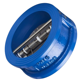 What Is a Dual Plate Wafer Check Valve? Complete Industry Guide