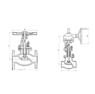 Types of Globe Valve Bodies