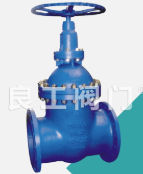 Cast Bellows Gate Valve, DN15-DN50, PN6-PN250, SW