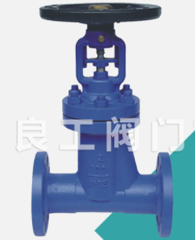Cast Bellows Globe Valve, 2-8 Inch, Class 150-600 LB