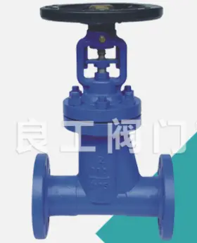 Cast Bellows Globe Valve, 2-8 Inch, Class 150-600 LB