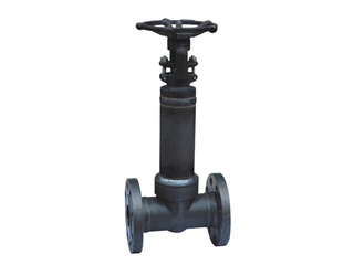 Bellow Globe Valve