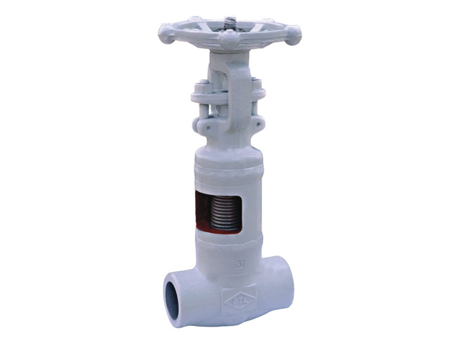 Bellow Gate Valve