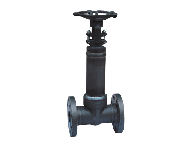Bellow Globe Valve