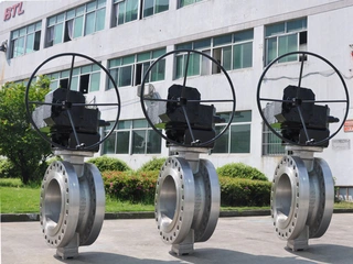 Two Shafts No Pins Concentric Butterfly Valve