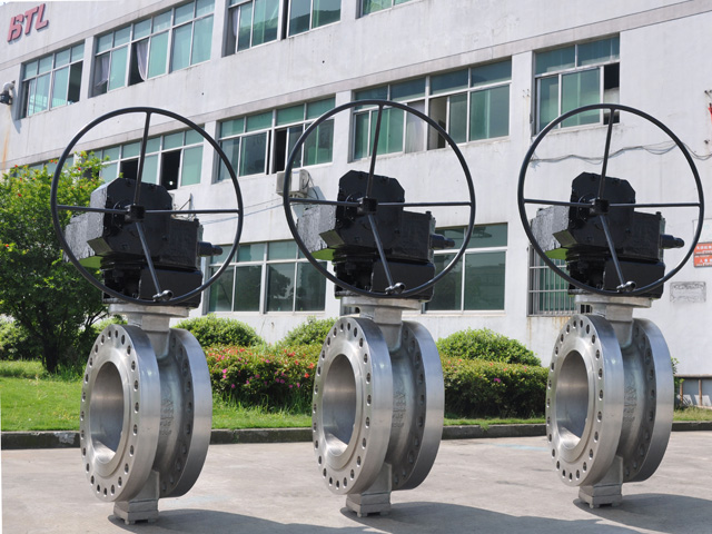 Two Shafts No Pins Concentric Butterfly Valve