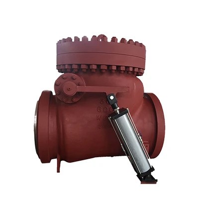 API 6D Check Valve with Cylinder, A216 WCB, 30 Inch, 600 LB