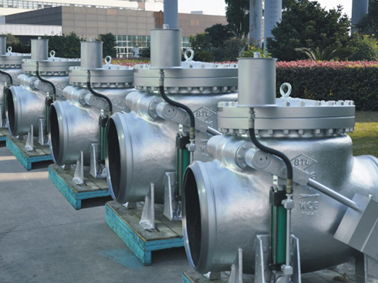 BS 1868 Swing Check Valve