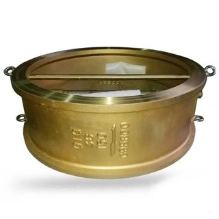 Dual Plate Check Valve, ASTM B148 C95800, 36 Inch, 150 LB
