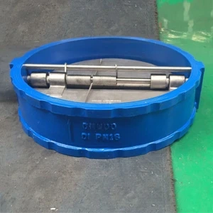Ductile Iron Wafer Check Valve, 24 Inch, 150 LB, DN600, PN16