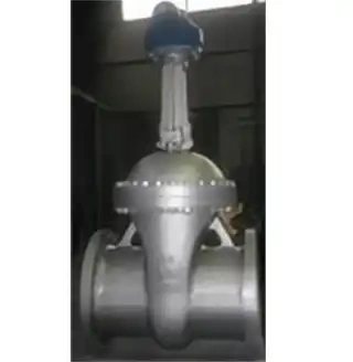 ASME B16.34 Gate Valve, ASTM A216 WCB, 24 IN, DN600, 300 LB