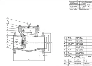 Swing Check Valve
