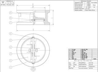 Dual Plate Check Valve