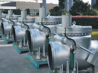 BS 1868 Swing Check Valve
