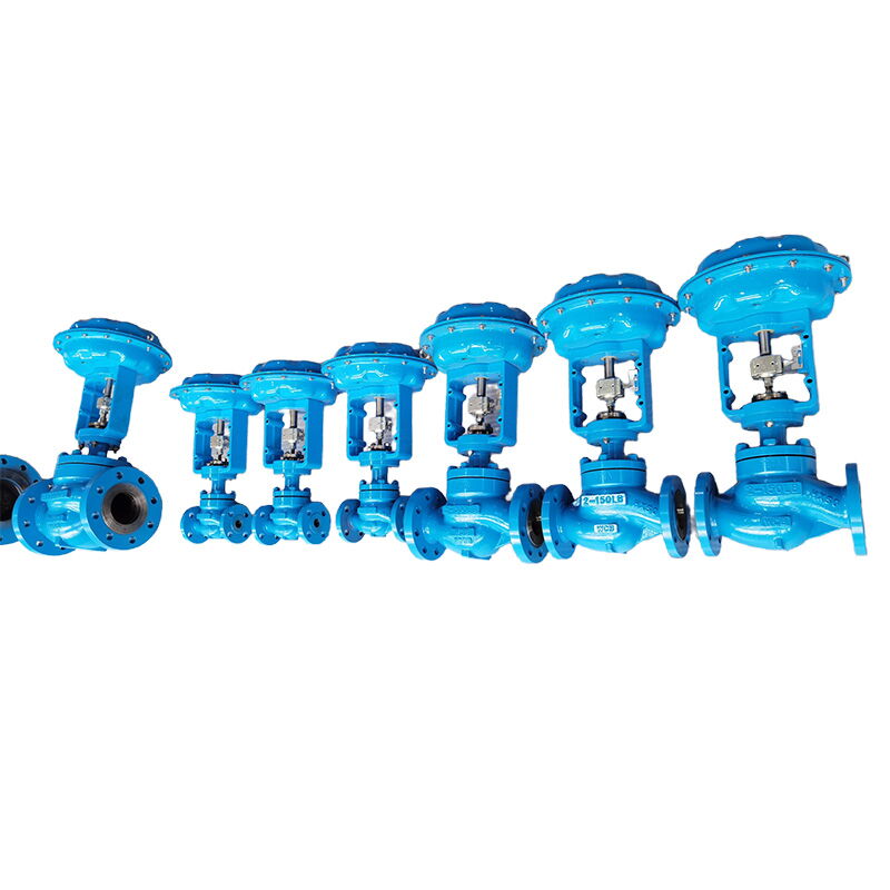 Balanced Cage Control Valve, Single-Seat, CF3M, 3/4-16 Inch