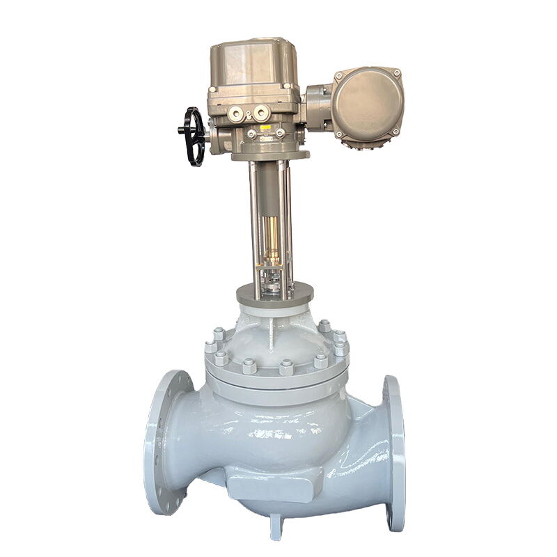 Electric Globe Control Valve, A351 CF8, 1-24 IN, 150-2500 LB