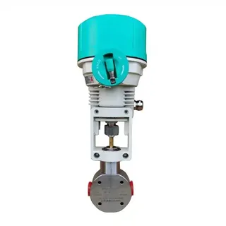 2-Way Control Valve, SS 304, 3/4 - 1-1/4 Inch, Class 900 LB