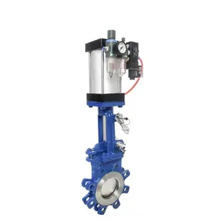 Pneumatic Gate Control Valve, Stainless Steel, 6 IN, 300 LB