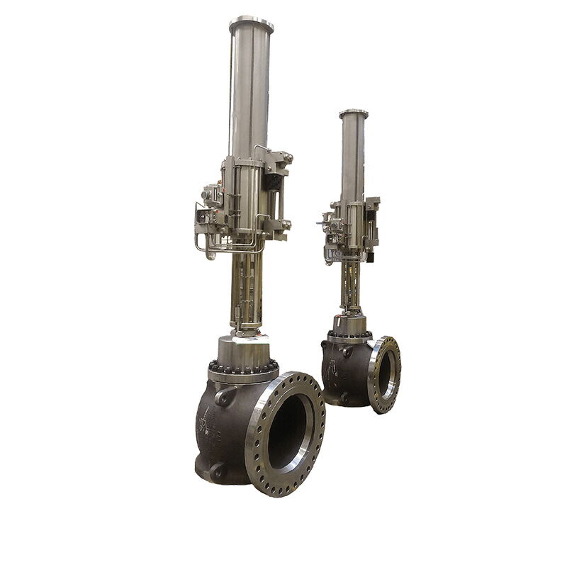 Stainless Steel High-Pressure Control Valve, 1/4-48 Inch, BW