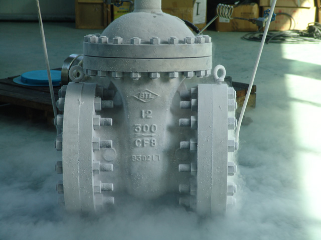 Válvula de compuerta criogénica