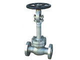 Cryogenic Globe Valve