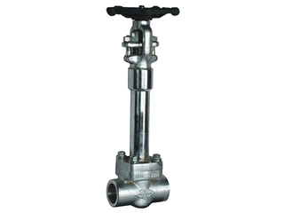 Cryogenic Gate Valve