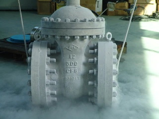 Cryogenic Gate Valve