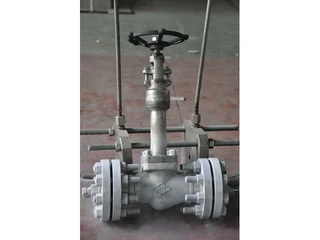 Cryogenic Globe Valve