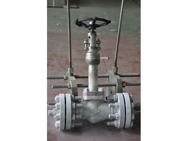 Válvula de globo criogénica