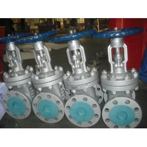 24 Inch Gate Valve, Class 300 LB, ASTM A216 WCB, RF Ends