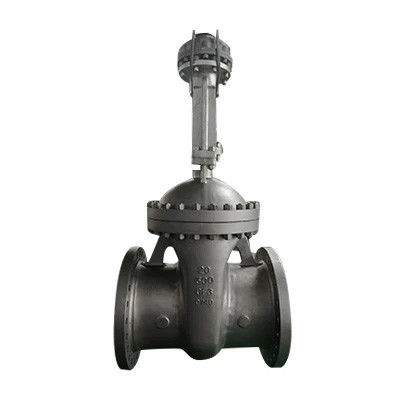 API 600 Gate Valve, ASTM A351 CF3, 20 Inch, Class 300 LB, RF