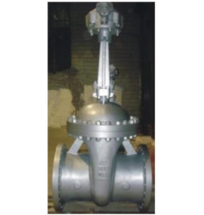 ASTM A217 WC1 Gate Valve, 22 Inch, Class 150 LB, Flanged RF