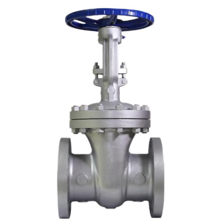 BS 1868 Cast Steel Check Valve, Swing Type, DN600, PN20, RF