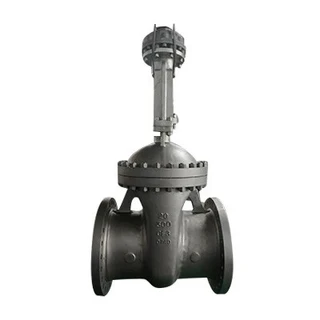API 600 Gate Valve, ASTM A351 CF3, 20 Inch, Class 300 LB, RF