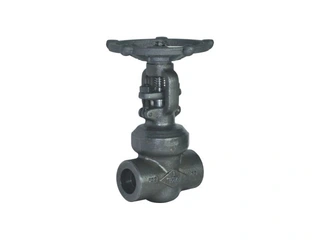 API 602 Gate Valve
