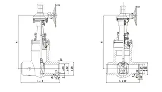 Diagram of ASME B16.34 High Pressure Gate Valve