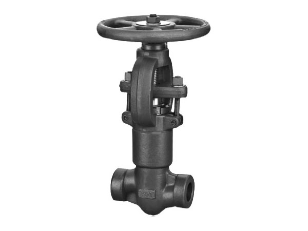API 602 Globe Valve