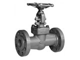 API 602 Globe Valve