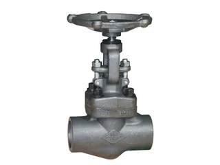 API 602 Globe Valve