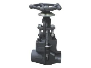 API 602 Globe Valve