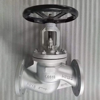 DIN EN 13709 Globe Valve, EN 1.0619, DN600, PN16, RF End