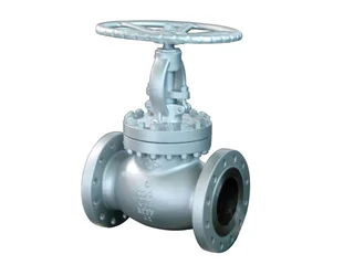 BS 1873 Globe Valve