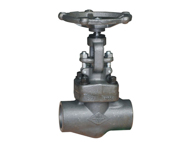 API 602 Globe Valve