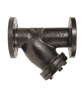 Cast Iron Y Strainer, ASME B16.34, 2-12 Inch, 125-150 LB