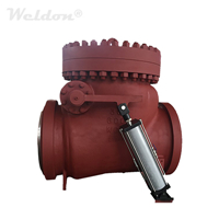 The Working Principle of Check Valves