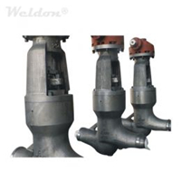 Flow direction of a globe valve