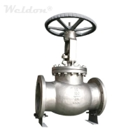 Stainless Steel Valves