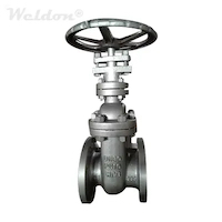 Technology & Market Prospect of Dedicated Valves in the Industry 4.0 Era