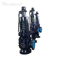 Nuclear Safety Valves