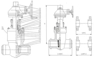 The Applications of Pressure Seal Gate Valves